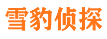 桦南外遇调查取证